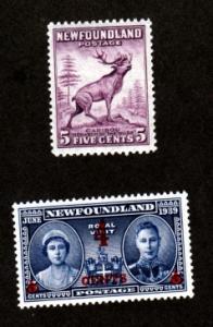 Newfoundland # 191, 251 Mint NH!