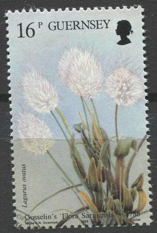 Guernsey  Sc#395 MNH, 16p multi, Bicentenary of Publication Flora Sarniensis ...