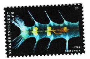 US 5270 Bioluminescent Life Marine Worm F single MNH 2018