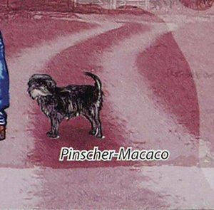Dogs Stamp Spaniel Mastiff German Spitz Irish Labrador S/S MNH #4894 / Bl.820