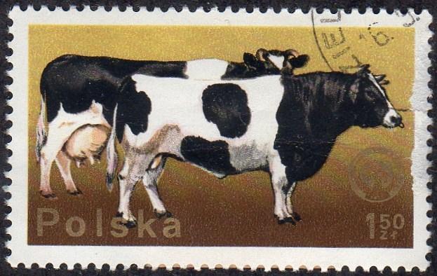 Poland 2099 - Cto - 1.50z Cattle (1975)