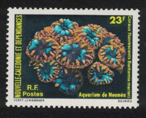 New Caledonia Noumea Aquarium Fluorescent Corals 23f 1980 MNH SG#628