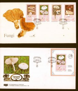 South Africa Ciskei 1 02-105  103a Souvenir Sheet  Edible Mushrooms Plants FDC