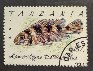 Tanzania 1991 Scott 817 CTO - 15sh, Fish, Five-barred Lamprologus