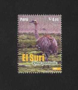 Peru 2023 , Bird , El Suri