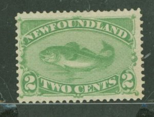 Newfoundland #46 Unused Single