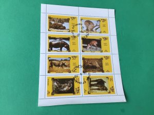 State of Oman Elephant Rhino & Animals in the wild cancelled stamps sheet  55462