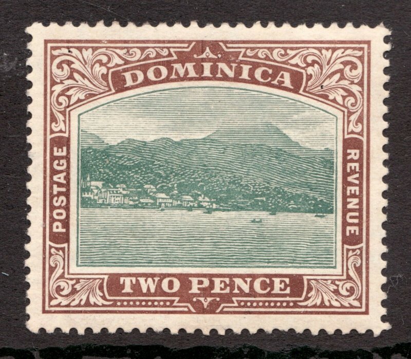 Sc37 - Dominica - c.1903 - Two Pence - MH - superfleas - cv$13