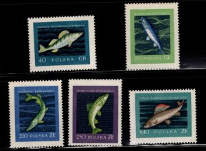 Poland Scott 810-814 MH* 1958 Fish stamp set