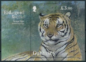 Guernsey 2012 MNH Wild Animals Stamps Endangered Species Bengal Tigers 1v M/S 