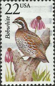 # 2301 USED BOBWHITE
