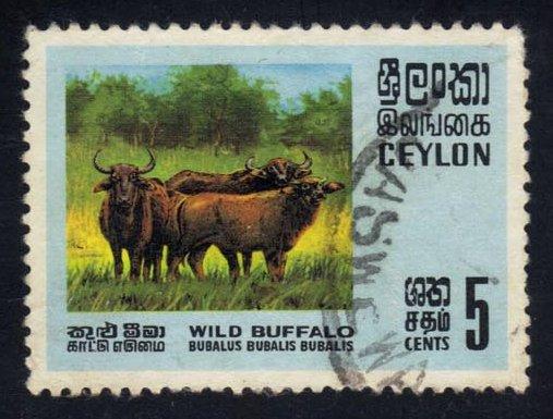 Ceylon #439 Wild Water Buffalo, used (1.40)