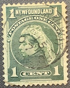 Newfoundland # 80 Used