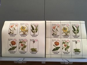 Holy Island Eynhallow Scotland Wall Flower  Flowers plants  MNH stamps  R24142