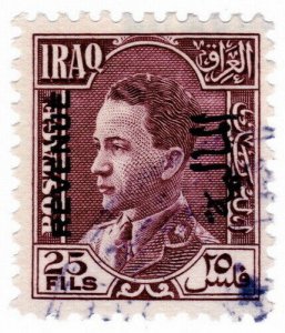 (I.B) Iraq Revenue : Duty Stamp 25f (King Ghazi)