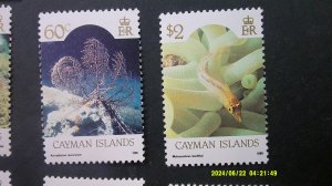 Cayman Islands 1986 Sealife Definitive Issue Scott# 562-573 complete MNH XF (12)