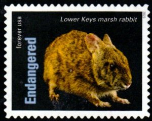 SC# 5799i - (68c) - Endangered Marsh Rabbit - 9 of 20 - Used Off Paper