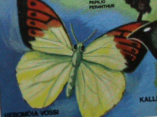 ​DHUFAR -COLORFUL BEAUTIFUL LOVELY BUTTERFLIES-IMPERF :MNH S/S SHEET-VERY FINE