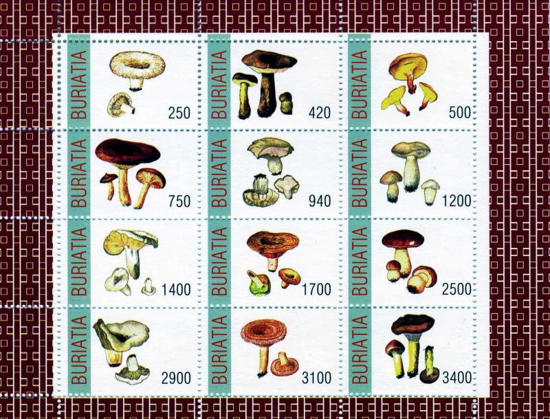 Buriatia Mushrooms Sheet (12) Perforated mnh.