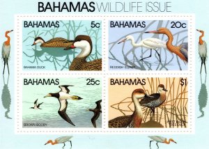 Bahamas 1981 Wildlife, Birds, Miniature Sheet [Mint]