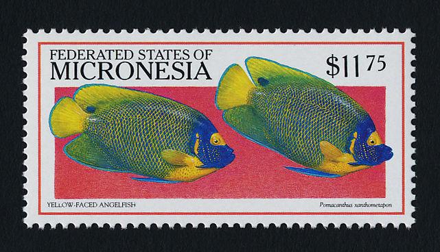 Micronesia 328-33 MNH Fish