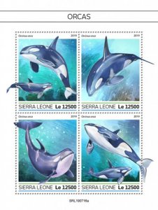 SIERRA LEONE - 2019 - Orcas - Perf 4v Sheet - MNH