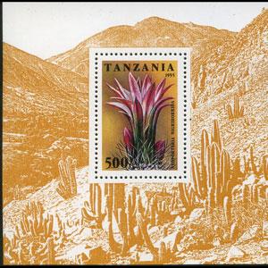 TANZANIA 1995 - Scott# 1395 S/S Cactus Flowers NH