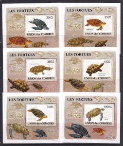 Comoros 2009 Turtles 6 S/Sheets Deluxe Edition MNH