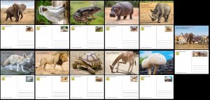 CHAD 2023 11X STATIONERY CARDS APES ELEPHANT FROGS HIPPOPOTAMUS MUSHROOM TURTLES-