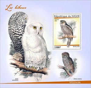 NIGER - 2022 - Owls - Perf Souv Sheet - Mint Never Hinged