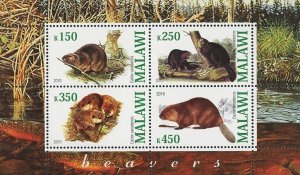 Beavers Stamp Wild Animal Castor Canadensis Souvenir Sheet of 4 Stamps MNH