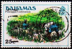 Bahamas.1980 25c  S.G.566 Fine Used