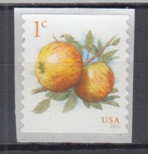 ​(B) USA #5037 Apple Coil Single MNH