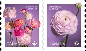 Canada 2023 MNH Stamps Scott 3373-3374 Flowers