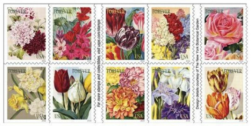 Botanical Art Booklet Pane of 20 Forever Postage Stamps Scott 5051c 