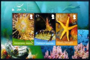 [66825] Falkland Islands Ascension 2013 Marine Life Shrimp Starfish Sheet MNH