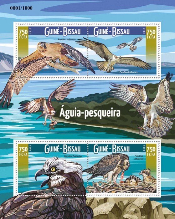 GUINEA BISSAU - 2015 - Ospreys - Perf 4v Sheet - Mint Never Hinged