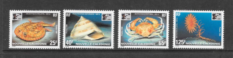 MARINE LIFE - NEW CALEDONIA #737-40  CHINA '96   MNH