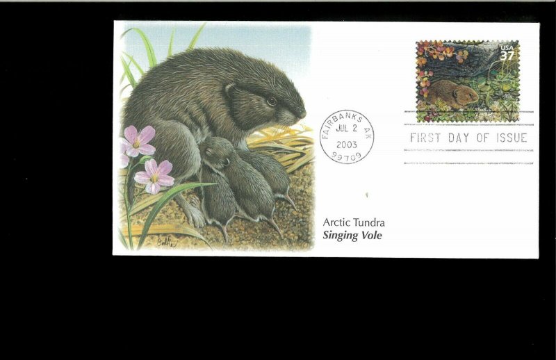 2003 FDC Arctic Tundra Fairbanks AK