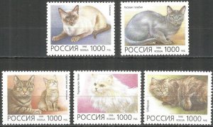 Russia 1996 MNH Stamps Scott 6307-6311 Cats