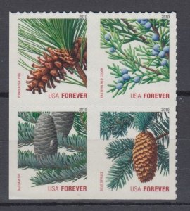 (F) ​USA Sc#4482-85 Holiday Evergreens  Block of 4  from ATM Booklet MNH