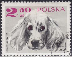 Poland 1640 English Setter 2.50zł 1969