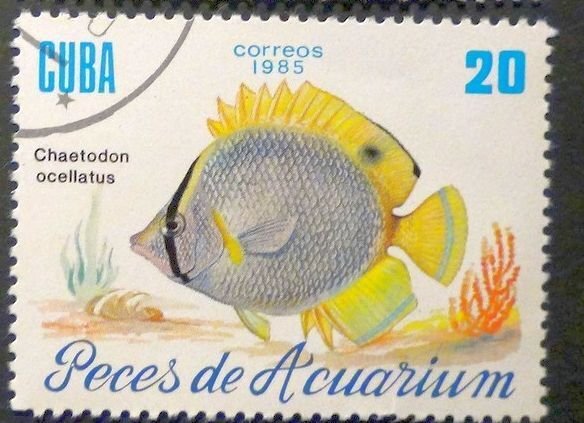 CUBA Sc# 2815  TROPICAL FISH Marine Life  20c  1985 used cto