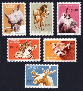 Belgium Panda Rhino Giraffe Animals of Antwerp Zoo 6v 1961 MNH SG#1778-1783