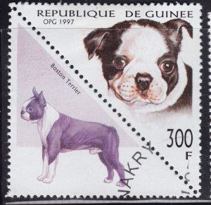 Guinea 1412 Dogs 1997