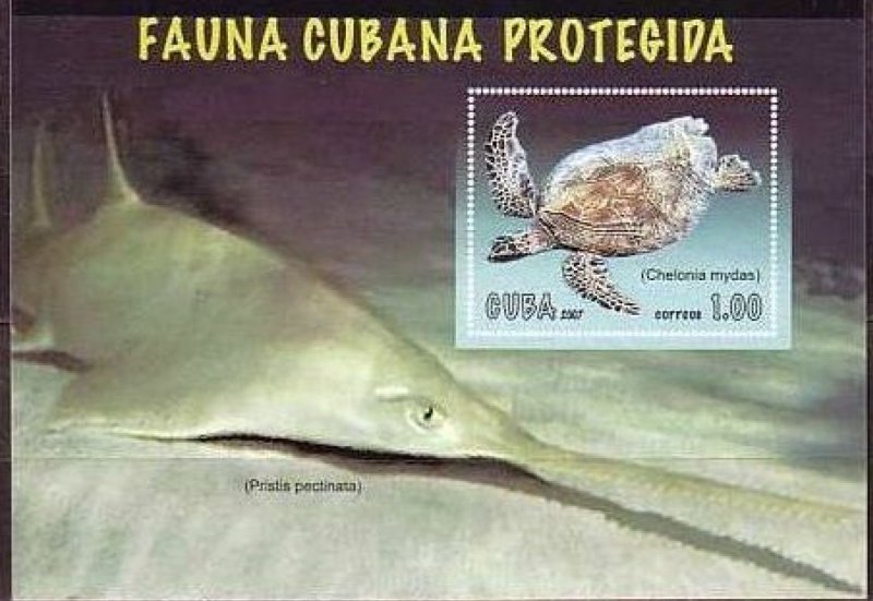 CUBA Sc# 4769 PROTECTED ENDANGERED MARINE LIFE Souvenir Sheet   2007 MNH