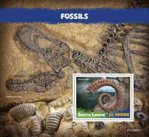 Sierra Leone - 2020 Ammonoidea Fossils - Stamp Souvenir Sheet - SRL200635b