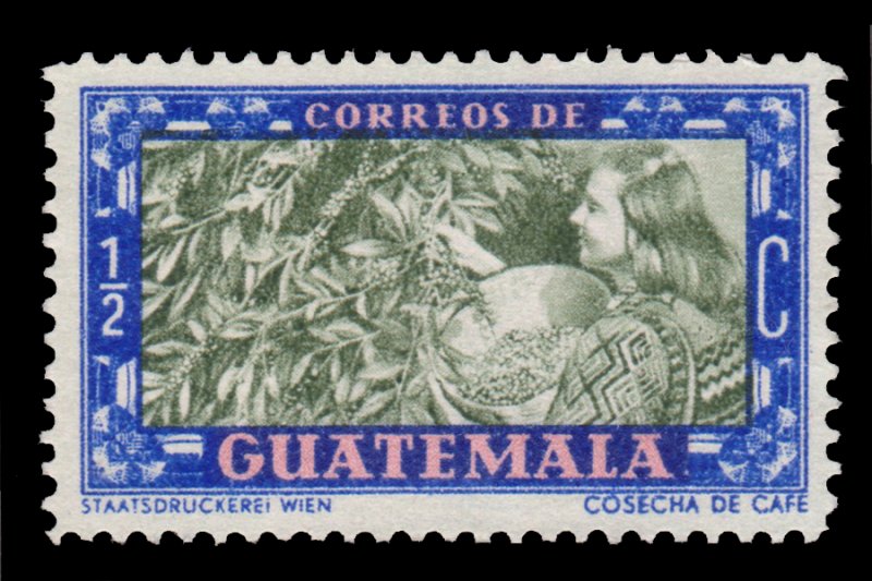 GUATEMALA STAMP 1950. SCOTT # 330. USED.