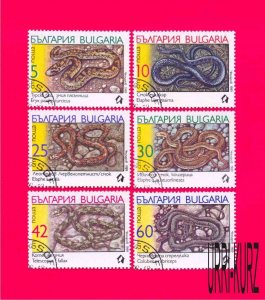 BULGARIA 1989 Nature Fauna Reptiles Snakes 6v Sc3491-3496 Mi3784-3789 CTO VF NH