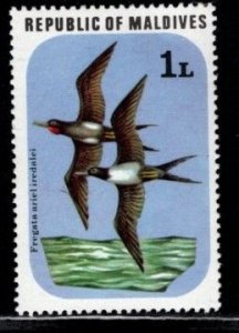 Maldive Islands - #691 Birds - MNH